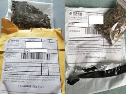 Find audited china manufacturers of seeds china. Usda Official Identifies Some Seeds Sent Around Us From China