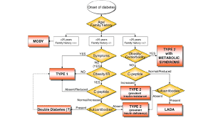 flow chart for diffential diagnosis of type 2 diabetes