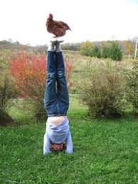 Check spelling or type a new query. Lippy At Her Amazing Yoga Retreat Center Heathen Hill Yoga In Upstate Ny Yoga Retreat Yoga Retreat Center Yoga