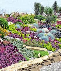 Stauden Kollektion Rock Garden 1a Pflanzen Kaufen Baldur Garten Stauden Staudengarten Winterharte Stauden