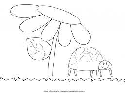 It also stated on the page that it was only found in hawaii. Kid Color Pages Ladybug Life Cycle