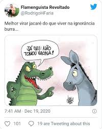 389 likes · 1,988 talking about this. Os 10 Melhores Memes De Jacare Apos Declaracao De Bolsonaro Dci