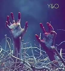 كل الصور Animals Im Lost Story