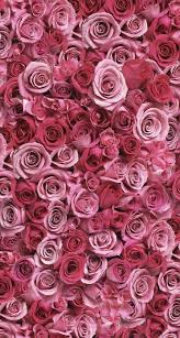 We did not find results for: Sfondi Per Iphone Rose Novocom Top
