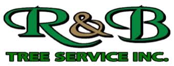 2 reviews of r & r landscaping and tree service rudy came out and looked over my project and gave me an estimate he and his team showed up at the appropriate time and even though i had a really overgrown tree the did a great job of trimming it for the agreed price. R B Tree Service Tree Services Removals In St Petersburg Clearwater Pinellas County Florida