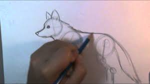 Step by step instructions on drawing a simple wolf howling at the moon. How To Draw A Wolf Body Youtube