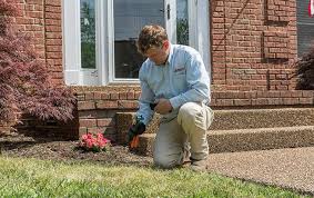 The damage and repairs will cost owners more than $5 billion annually in the u.s alone and the damage is rarely covered by insurance policies. Green Pest Termite Control Services In Nashville Brentwood Middle Tn