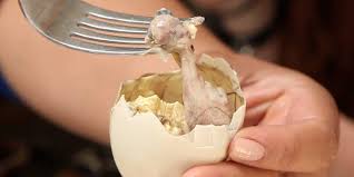 They are common food in countries in southeast asia, such as laos (khai look ໄຂ່ລູກ in lao), cambodia. What S Balut And Why Eat It