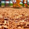 Explore 31 listings for free wood chips at best prices. 1