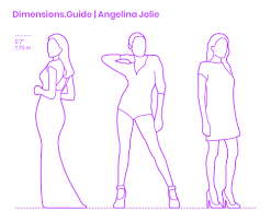 Her catchphrase—how rude!—is still requested by fans. Angelina Jolie Dimensions Drawings Dimensions Com
