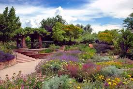 It involves the cultivation of xerophytes, or plants that require very little water. Xeriscape With Native Plants Sustainability