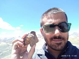 Fossils in Himachal Pradesh being sold as souvenirs