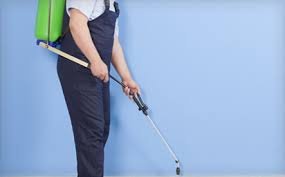We also assist in the removal of carpenter ants, bees, cockroaches, centipedes, earwigs, fleas, flies, millipedes, mice, mosquitoes we also offer a full line of pest control products. Up To 82 Off Pest Control From Advantage Pest Control 3 Options Wagjag