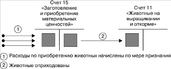 Договор купли-продажи сельскохозяйственных животных и КРС