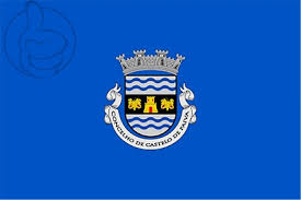 Looking for hotels in castelo de paiva? Castelo De Paiva Municipality Flag Available To Buy Flagsok Com