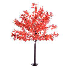 Department of agriculture plant hardiness zones 3 through 9. Paradise 5 Ft Tall Japanese Maple Leaf Tree The Home Depot Canada
