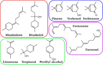 Image result for terpenoid