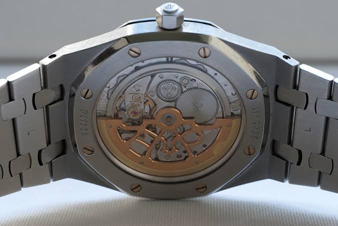 ผลการค้นหารูปภาพสำหรับ ap 15202 caseback