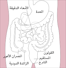 Jun 22, 2021 · وقال عفيف عقب الجلسة الثانية للمحاكمة التي دامت نحو أربع ساعات، إن المتهمين باسم عوض الله والشريف حسن بن زيد مصران على دعوة الأمير حمزة كشاهد دفاع في القضية. Ù„Ù…Ø§Ø°Ø§ Ø³Ù…ÙŠ Ø§Ù„Ù…ØµØ±Ø§Ù† Ø§Ù„Ø§Ø¹ÙˆØ± Ø¨Ù‡Ø°Ø§ Ø§Ù„Ø§Ø³Ù… Ø§Ø³Ø¨Ø§Ø¨ ØªØ³Ù…ÙŠØ© Ø§Ù„Ù…ØµØ±Ø§Ù† Ø§Ù„Ø§Ø¹ÙˆØ± Ø¨Ù‡Ø°Ø§ Ø§Ù„Ø§Ø³Ù… Ø§Ù„ØºØ¯Ø± ÙˆØ§Ù„Ø®ÙŠØ§Ù†Ø©
