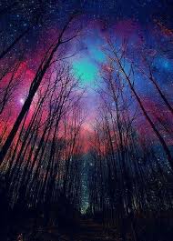Paisaje nocturno estrellado cielo montana fondo de pantalla. Bosque Nocturno Scenery Nature Photography Beautiful Nature