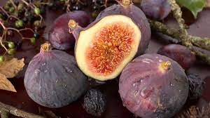 Check spelling or type a new query. Inilah Manfaat Buah Tin Baik Dalam Islam Diantaranya Mencegah Penyakit Kronis Halaman All Tribun Pontianak