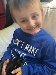 Chihuahuas love pup cups and car rides