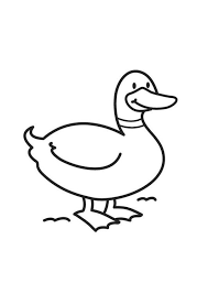 coloriage canard coloring pages books tattoo design drawings cheezey b shopkins