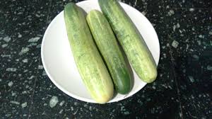 How To Feed Guppies Vegetarian Food English Malayalam Youtube