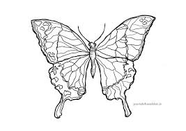 Disegni colorare farfalle, 2021 immagini e foto per blog e web. Disegni Di Farfalle Da Colorare Portalebambini It