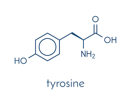 Don't give tyrosine supplements to a child without first asking your doctor. N Acetyl L Tyrosine How Does It Work Of And Why Is It Used