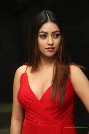 Gopichand, raashi khanna, anu emmanuel, jagapati babu, director: Pin On Anu Emmanuel