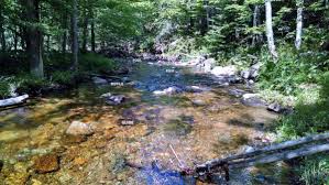 The classification of streams or rivers was developed to measure the size and importance of the waterways of stream order. Stream Features Riffle To Glide Ausable River Association