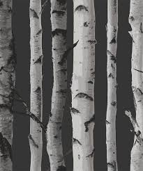 Black And White Birch Tree Wallpaper Wallpops Distinctive Black Birch Tree Wallpaper Zulily Birch Tree Wallpaper Birches Wallpaper Tree Wallpaper