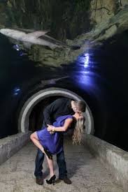 Downtown Dallas Engagement Photos In Deep Ellum The Dallas World Aquarium Dallas Engagement Photos Dallas World Aquarium Engagement Photos