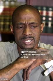 43 Aligator Office Stock Photos, High-Res Pictures, and Images