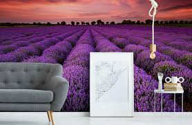 Prepasted, eco belle, smartstick®, vinyl hd Landscape Wallpaper Wall Murals Wallsauce Us