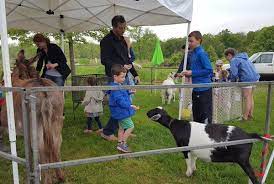 Day trip ideas and things to do in new jersey! Twitter Zoo Animals Pet Travel White Horses