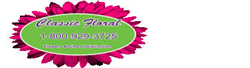 Send fresh flowers in fargo with the help of our top 10 best flower delivery services near you. Same Day Flower Delivery In West Fargo Nd 58078 By Your Ftd Florist Classic Floral 701 281 0767