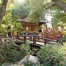Storrier Stearns Japanese Garden Pasadena Southern California Garden Venue Gallery Japanese Garden Japanese Garden Design Southern California Garden