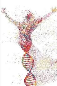 Dna Kader Midir Anatomi Sanati Arkaplan Tasarimlari Biyoloji