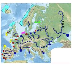 Subcarpatii moldovei sunt delimitati de podisul barladului prin culoarul. Joc Geografie Tarmurile Europei