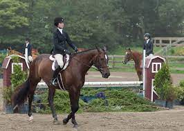 Block Rock Horse Show The High Country Show Horses Horses Pisgah National Forest
