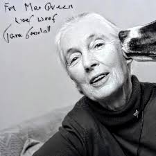 Drafted by the New York Yankees out of Fullerton, Miles Chambers (to your  left) had to shift careers due to injury. With the guidance of United  States Marine and veterinary technician extraordinaire,