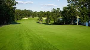 Tifway 419 is an improved hybrid bermuda developed from the famed tifton, georgia turf breeding program. Tiffway 419 Bermuda