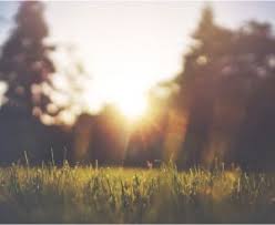 The materials alat dan bahan →. Hari Nasional Bahasa Inggris Daftar Hari Nasional Dalam Bahasa Inggris Dan Artinya