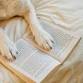 Paws to Read - IR event image