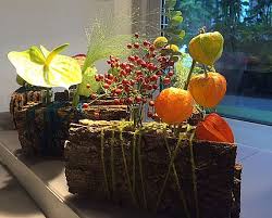 Physalis Und Hagebutte In Baumrinde Straussbar Hamburg Herbst Dekoration Dekoration Blumen Online