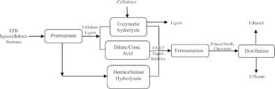 Gb energy is a well established, fully integrated one stop centre, providing professional enginerring solutions, support and services to. Oil Palm As Bioenergy Feedstock Sciencedirect