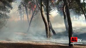 Jun 15, 2021 · pescara, pineta dannunziana in fiamme 15 giugno 2021. Otkewztp6nzpym