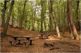 Maybe you would like to learn more about one of these? Istanbul Belgrad Forest Turkey Download Scientific Diagram
